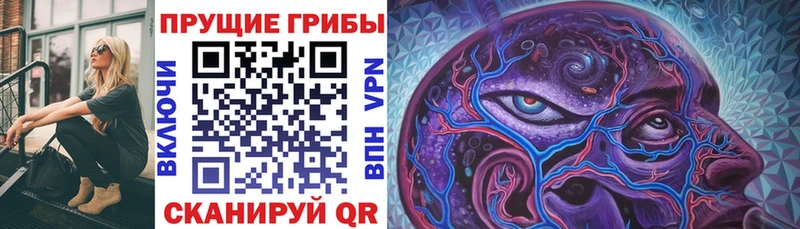 Купить где  Курильск  Галлюциногенные грибы мухоморы 